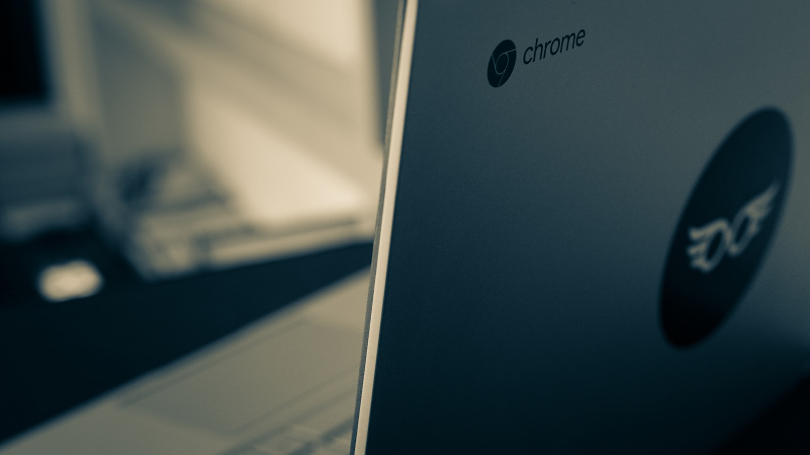 A Comprehensive Review of the $800 HP Chromebook: A Month-long Assessment